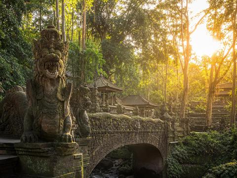 Sacred Monkey Forest Sanctuary