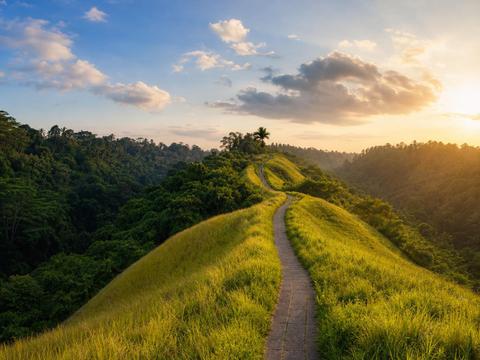 Campuhan Ridge Walk