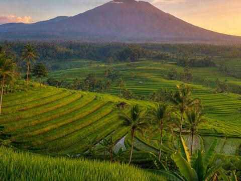 Jatiluwih Rice Terraces