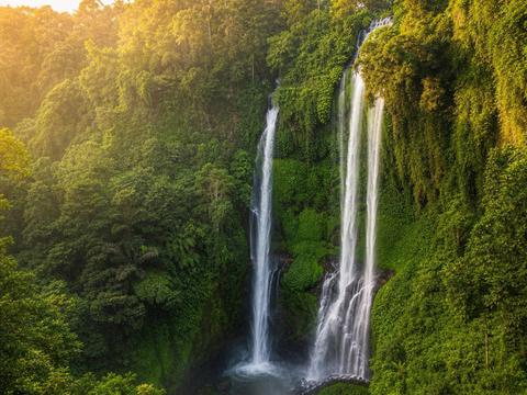 Sekumpul Waterfall