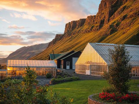 Friðheimar
