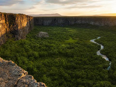 Ásbyrgi Canyon