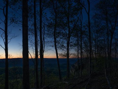 Flatwoods Monster Site (WV)