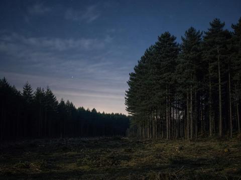 Rendlesham Forest Incident (UK)
