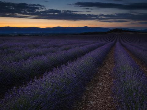 Valensole Incident (France)