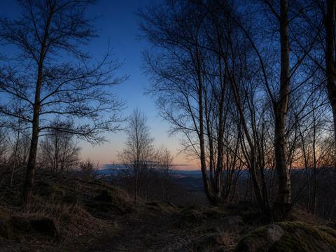 Robert Taylor Incident (Dechmont Law, Scotland)