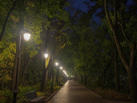 Voronezh Park Sighting (Russia)