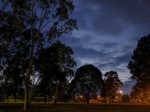 Westall Mass Sighting (Melbourne, Australia)