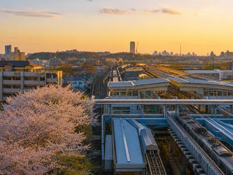Seiseki-Sakuragaoka Station