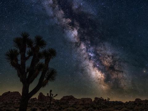 Joshua Tree National Park