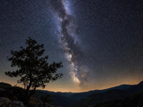Parc national des Cévennes