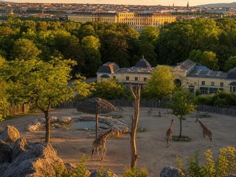 Tiergarten Schönbrunn