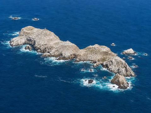 Farallon Islands