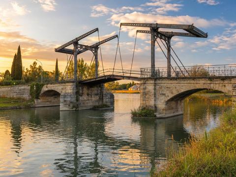 Pont Van Gogh (Langlois Bridge)