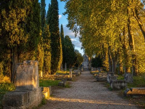 Les Alyscamps