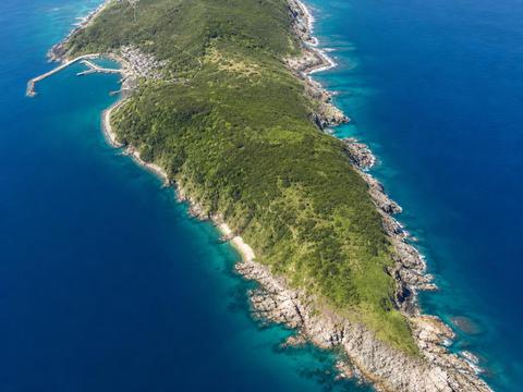 Aoshima (Cat Island, Ehime)