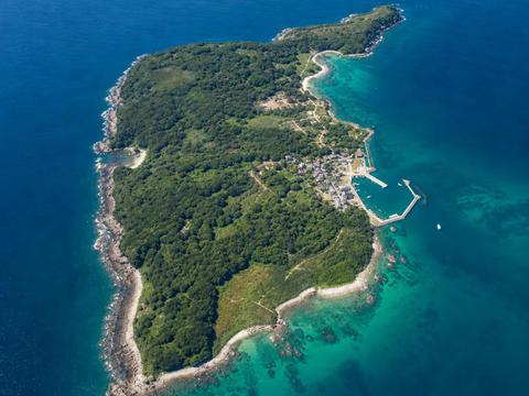 Tashirojima (Cat Island, Miyagi)