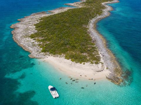 Pig Beach (Big Major Cay)