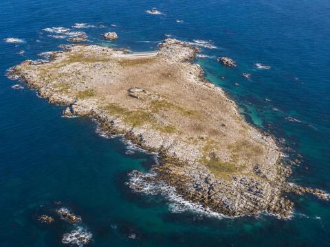 Seal Island (False Bay)