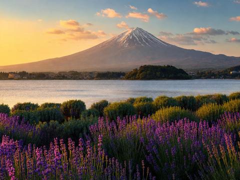 Red Fuji viewpoint (Oishi Park)