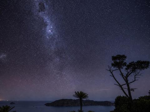 Great Barrier Island (Aotea)