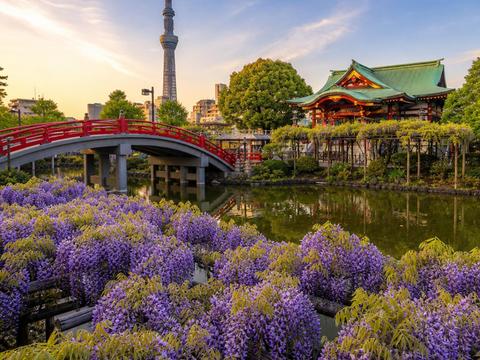 Kameido Tenjin Shrine