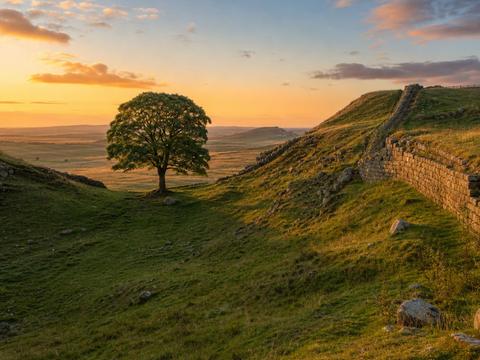 Sycamore Gap