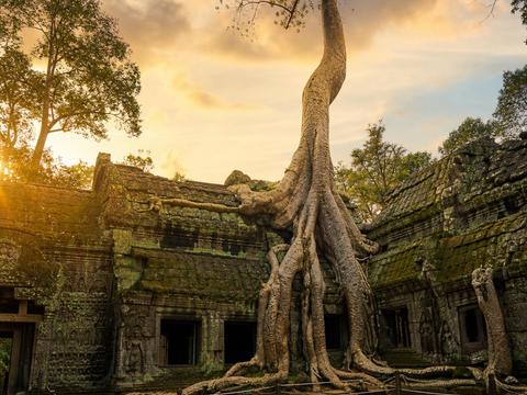 Ta Prohm