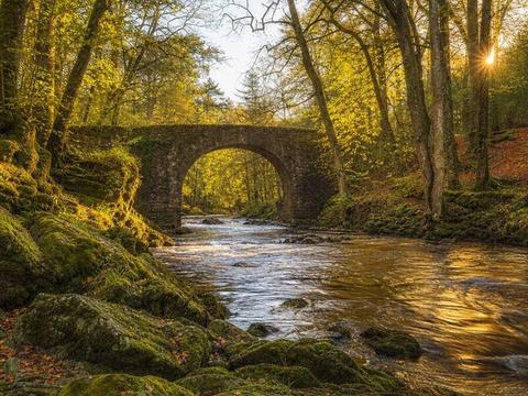 Tollymore Forest Park